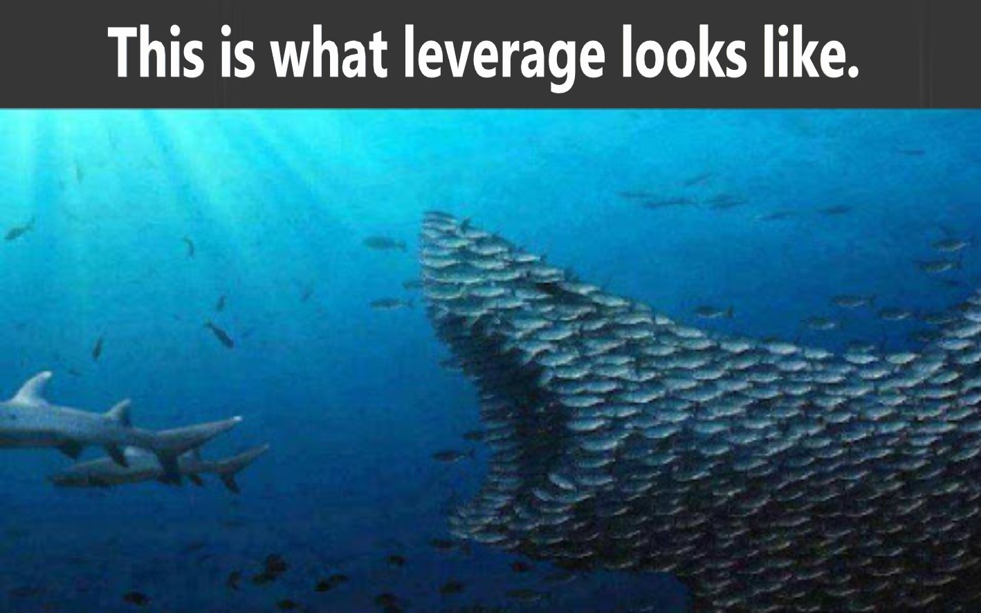 Leverage visual